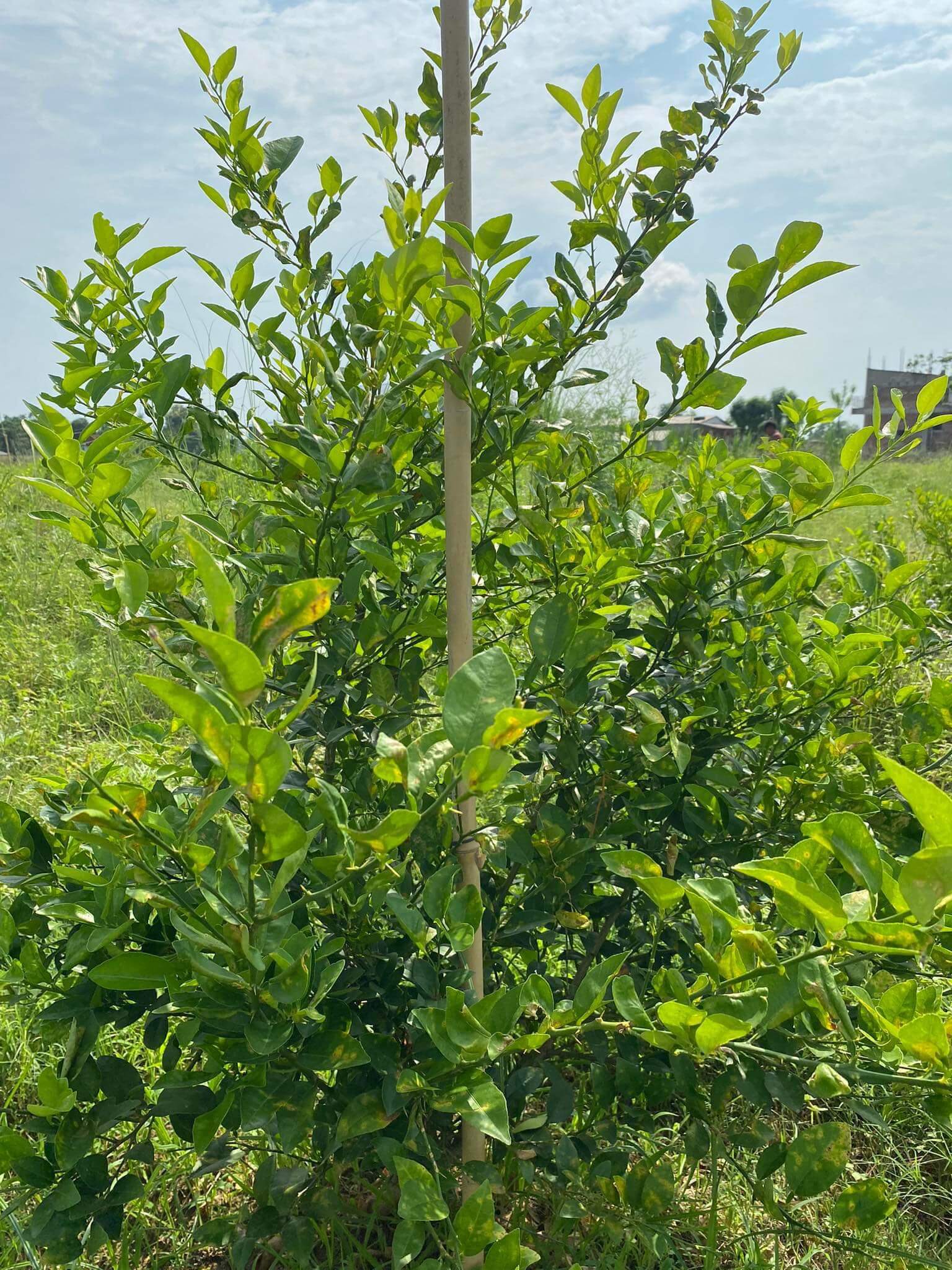 3 a73 c75 e d54 d a d2 a8 e d f%7 c0