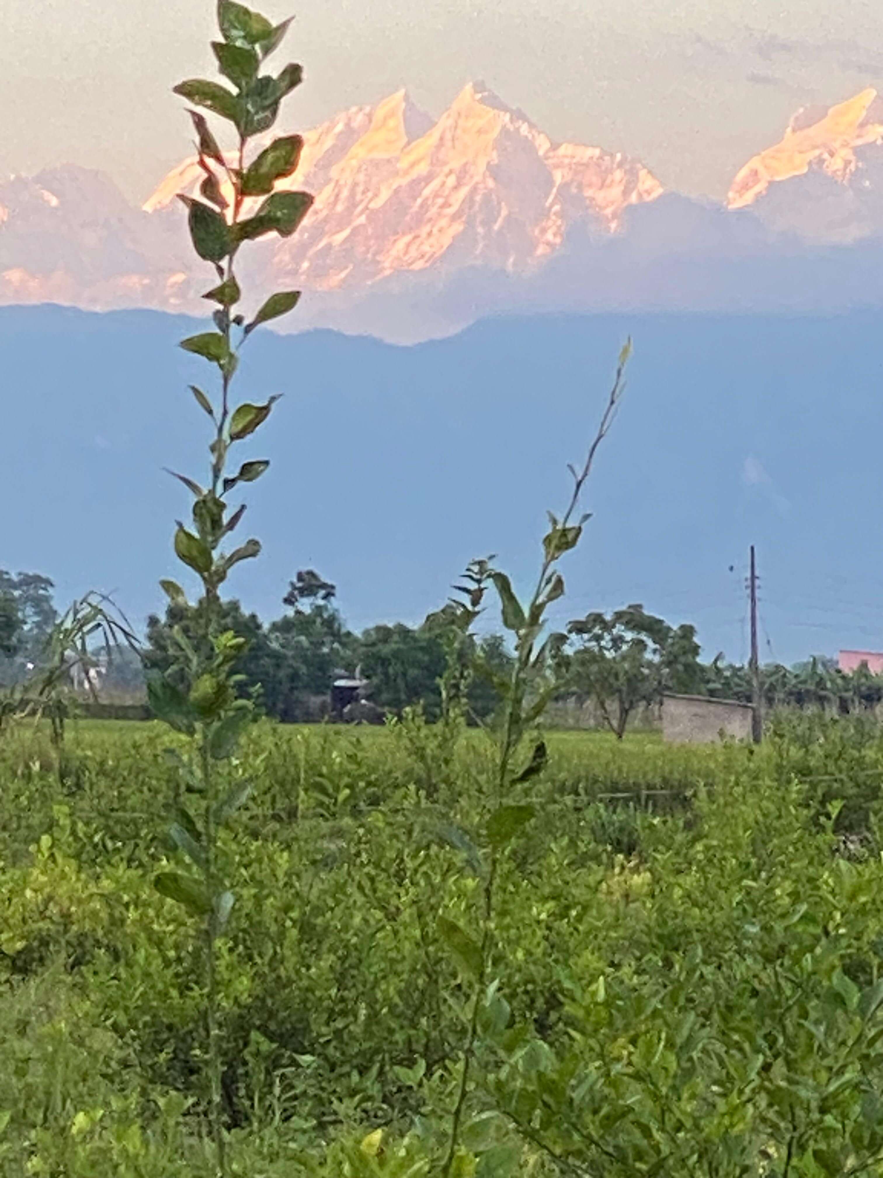 3 a27743 b52 f777437 d19%7 c0