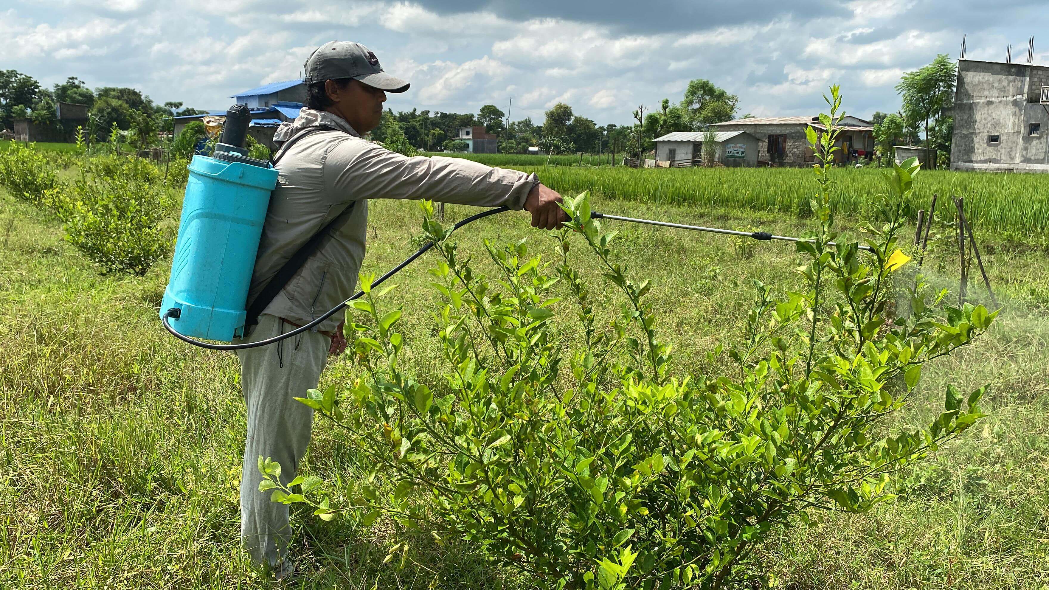 3 a a f0312 f6 c f54690 a82%7 c0