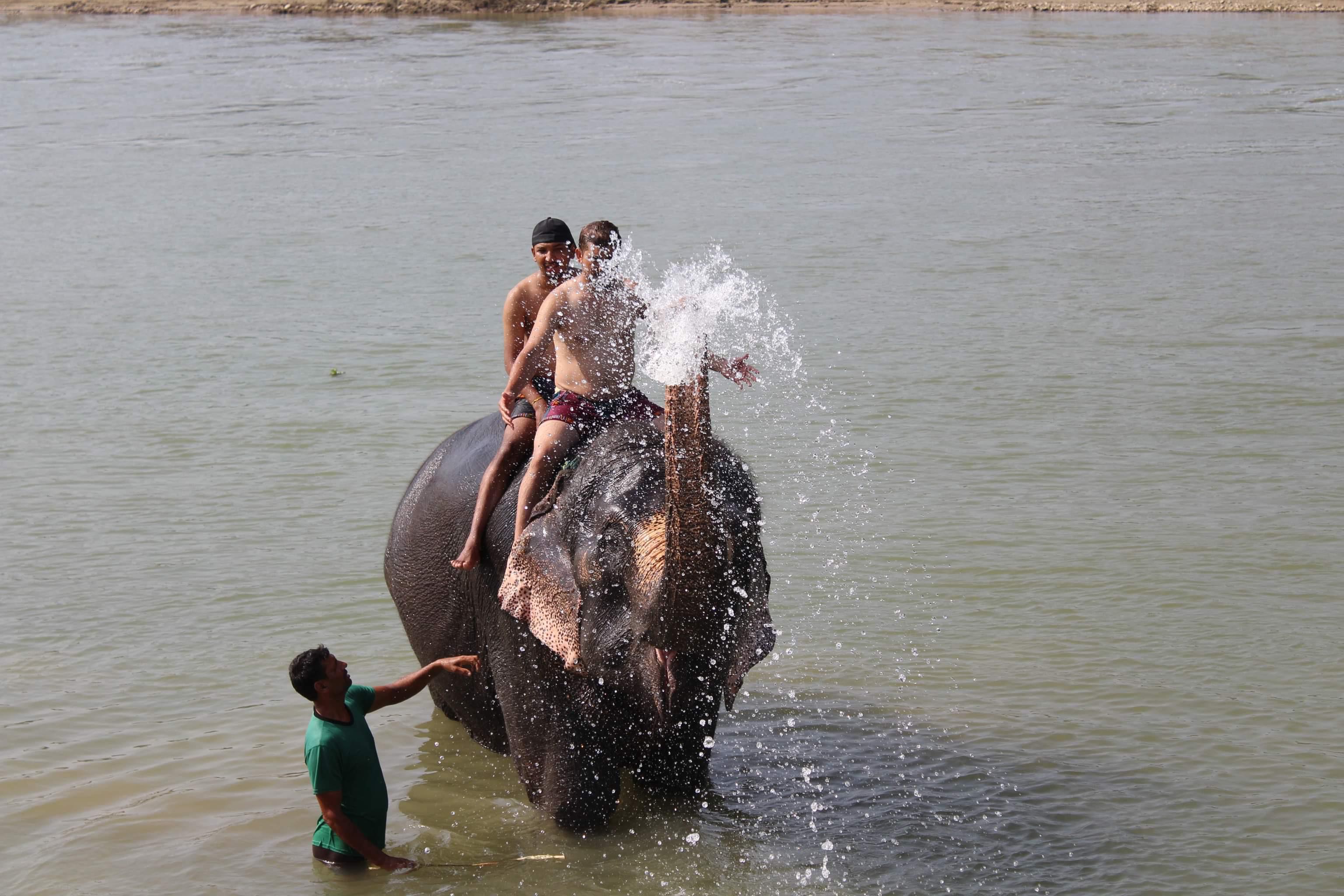 Hiker with backpack walking towards a suspension bridge surrounded by dense green forest.