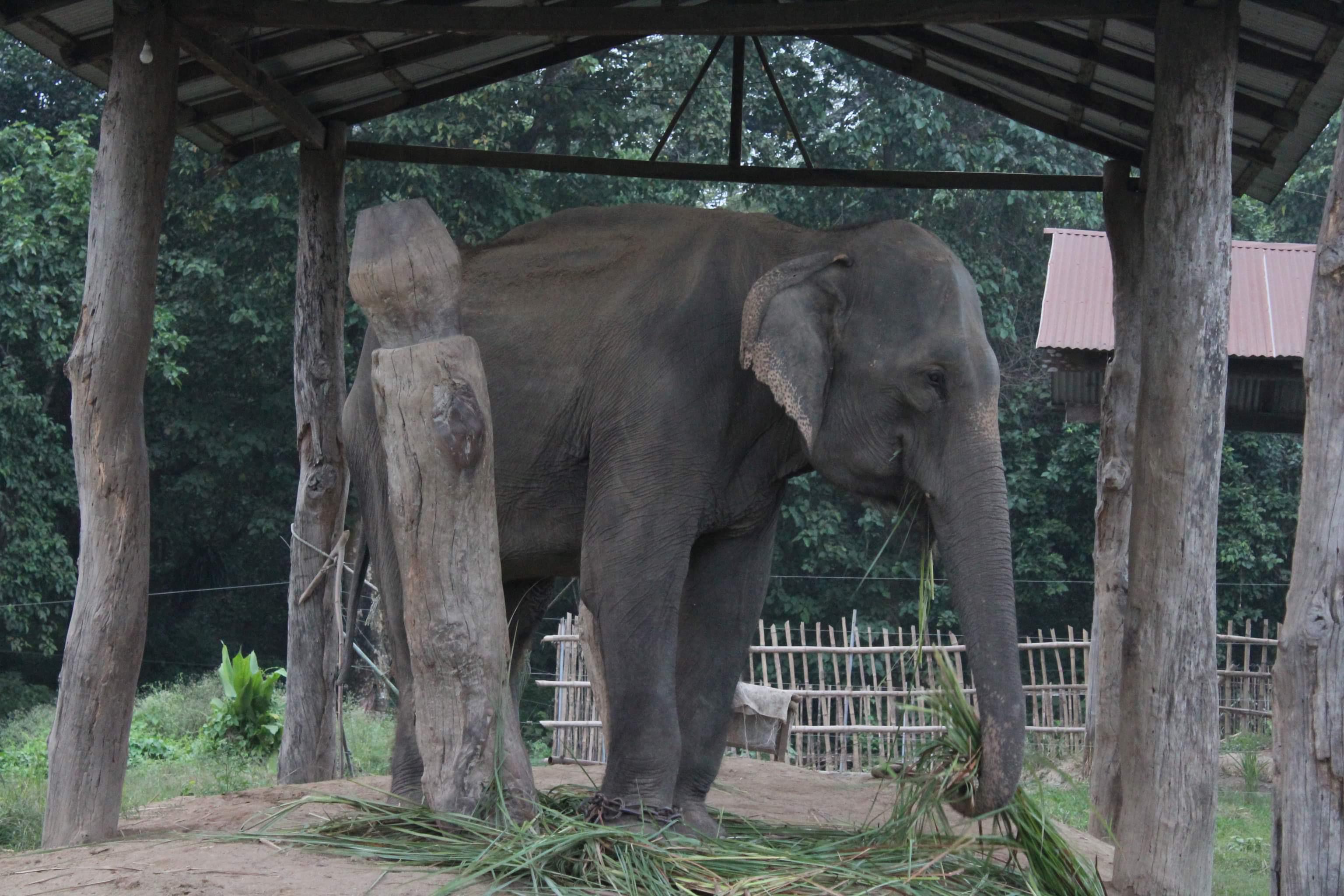 3 a d24 c a f3 c b361 d9 f6 f9%7 c0